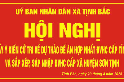 HỘI NGHỊ LẤY Ý KIẾN CỬ TRI VỀ ĐỀ ÁN HỢP NHẤT ĐƠN VỊ HÀNH CHÍNH CẤP TỈNH VÀ SẮP XẾP, SÁP NHẬP ĐƠN VỊ HÀNH CHÍNH CẤP XÃ TỈNH QUẢNG NGÃI